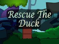 play Top10 Rescue The Duck