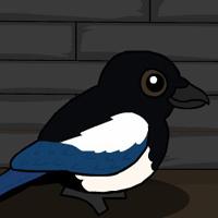 play G2J Magpie Bird Escape