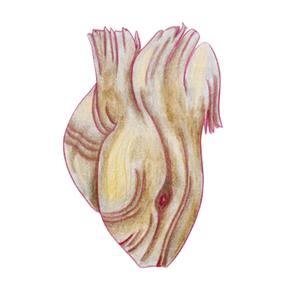 play A Driftwood Heart
