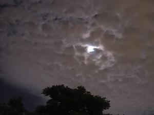 play First Day At Kguv