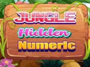 play Jungle Hidden Numeric