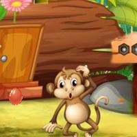 play Top10 Rescue Donkey