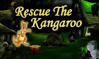 play Top10 Rescue The Kangaroo