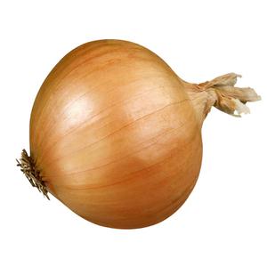 play Onion