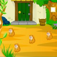 play Avmgames-Cheerful-Forest-Escape