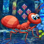 play Lovely Ant Escape