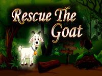 play Top10 Rescue The Goat