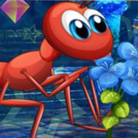 play Lovely Ant Escape