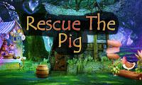 play Top10 Rescue The Pig