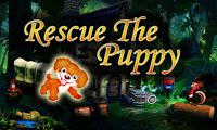 play Top10 Rescue The Puppy