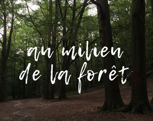 play Au Milieu De La Forêt