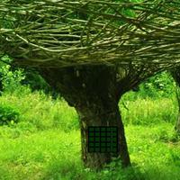 play Growing Green Tunnel Escape