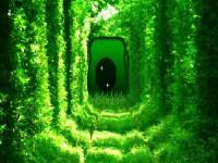 play Growing Green Tunnel Escape