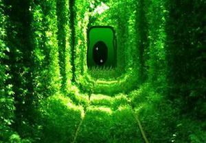 play Growing Green Tunnel Escape