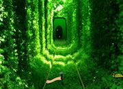 play Growing Green Tunnel Escape