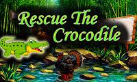 play Top10 Rescue The Crocodile