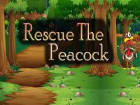 play Top10 Rescue The Peacock