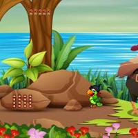 play Top10 Rescue The Peacock