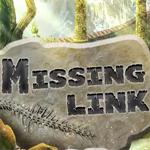 Missing-Link