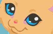 play Kitty Care