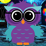play Ruler Owl Escape