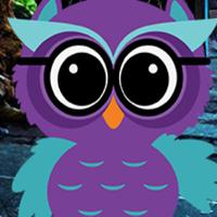 play Ruler Owl Escape