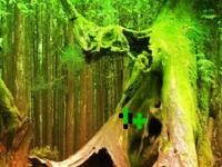 play Peril Satan Forest Escape