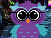 play Ruler Owl Escape