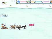 Sled Dog Dash