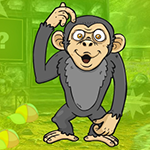 play Muddled Monkey Escape