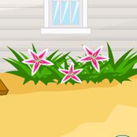 play Mousecity Beach Bum Escape