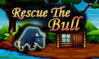 play Top10 Rescue The Bull