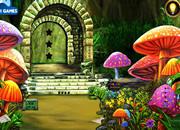 play Jungle Forest-3