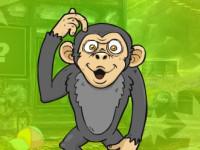 play Muddled Monkey Escape