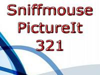 play Pictureit 321