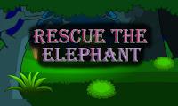 play Top10 Rescue The Elephant