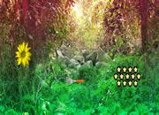 play Cryptic Treasure Escape