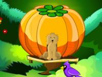 play Blossom Garden Escape