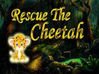 play Top10 Rescue The Cheetah