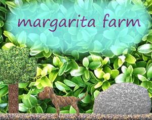 play Rita'S New Farm