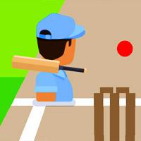 play Cricket Frvr