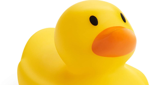 play Ducky 2
