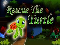play Top10 Rescue The Turtle