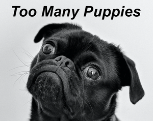 play Too Many Puppies