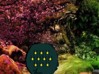 play Curse Honey Escape