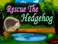 play Top10 Rescue The Hedgehog