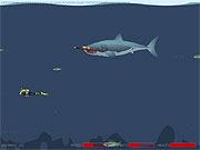 play Mad Shark