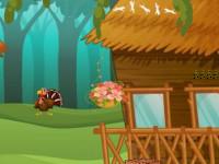 play T10 Rescue The Hippopotamus