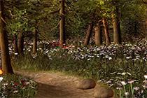 play Forest Secret Escape