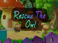 play Top10 Rescue The Owl